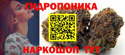 спиды Аргун