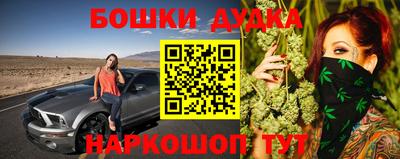 спиды Аргун