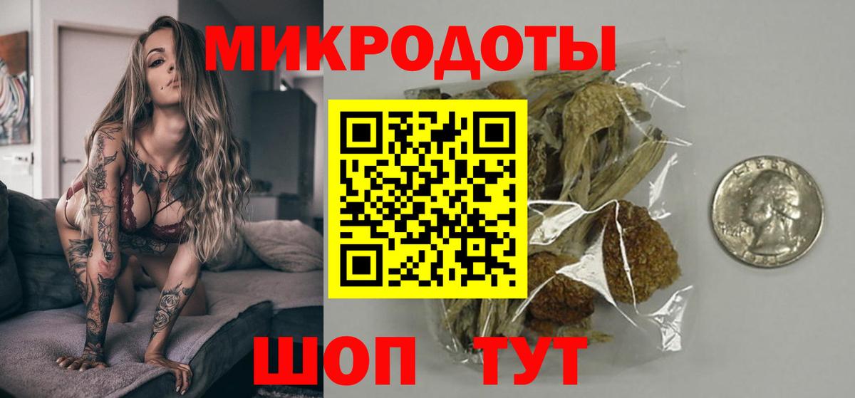 Псилоцибиновые грибы Psilocybe Выкса